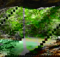 Buderim - Tourism Search