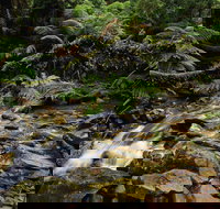 Budderoo National Park - Tourism Search