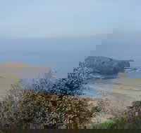 Bushrangers Bay - Tourism Search