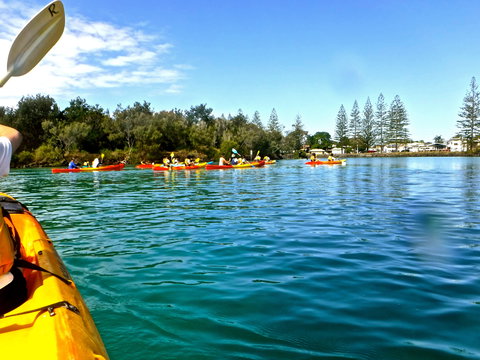 Byron Bay River Nature Kayak Tour - Tourism Search 0