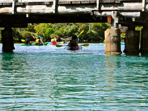 Byron Bay River Nature Kayak Tour - Tourism Search 1