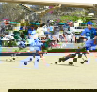 Cleveland Sharks Bowls Club - Tourism Search