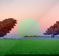 Condamine - Tourism Search