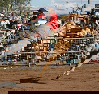 Coonamble - Tourism Search