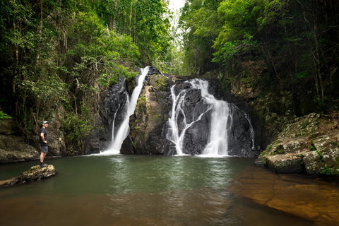 Dinner Falls - Tourism Search 0
