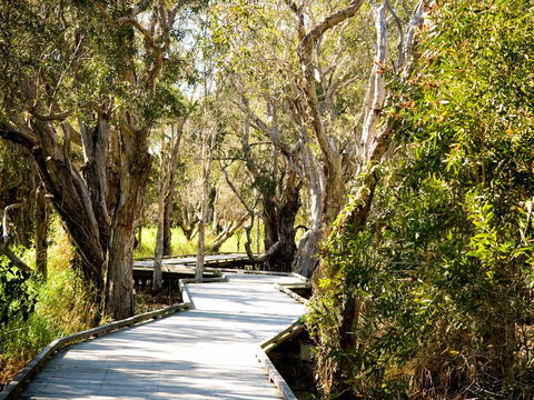 Eagleby Wetlands - Tourism Search 1
