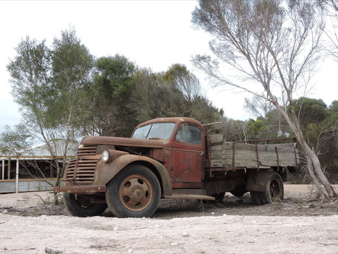 Emu Ridge Eucalyptus Pty Ltd - Tourism Search 2