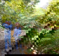 Endeavour Fern Gully Walks - Tourism Search