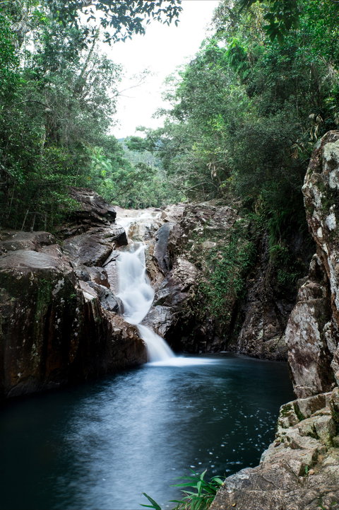 Finch Hatton Gorge - Tourism Search 1