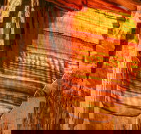 Junction Cave - Tourism Search