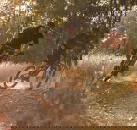 Kholo Gardens Trails - Tourism Search