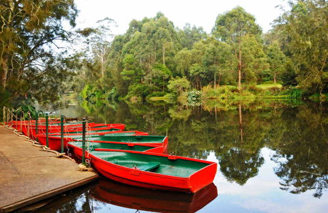 Lane Cove National Park - Tourism Search 0