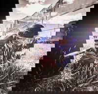 Luddenham Raceway Paintball - Tourism Search