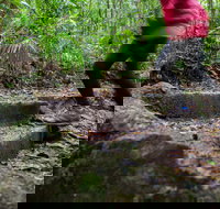 Maiala - Tourism Search