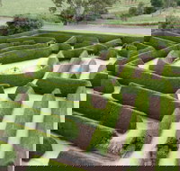 Mintaro Maze - Tourism Search