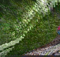 Morisset - Tourism Search
