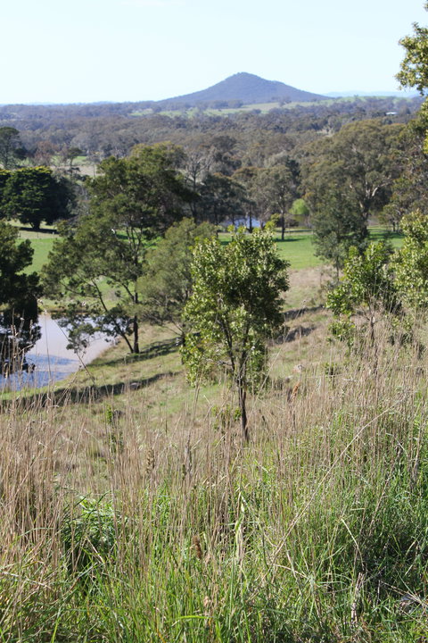 Mt Piper Nature Conservation Reserve - Tourism Search 1