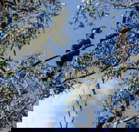 Mummel Gulf National Park - Tourism Search