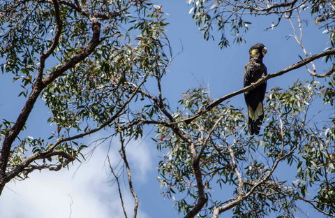Mummel Gulf National Park - Tourism Search 0
