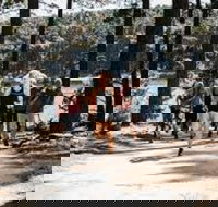 Myponga Reservoir Trail - Tourism Search