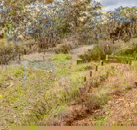 Old Mountain Road Walking Track - Tourism Search