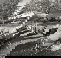 Pioneer Park - Tourism Search