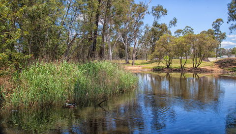 Pioneer Park - Tourism Search 2
