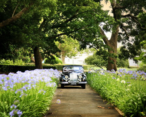 Queens Park, Toowoomba - Tourism Search 2