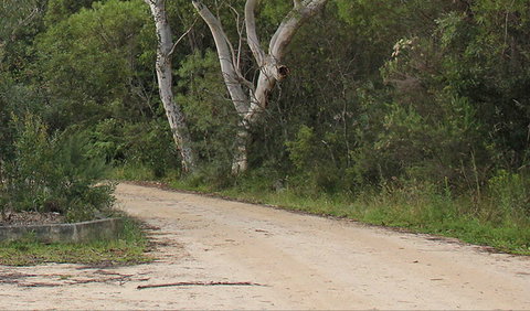 Riverview Walking Track - Tourism Search 0