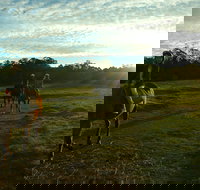 Scenic NSW Horse Riding Centre - Tourism Search