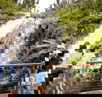 Steavenson Falls - Tourism Search