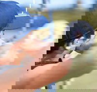 Sydney Olympic Park Archery Centre - Tourism Search