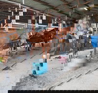 The Equine Club - Tourism Search