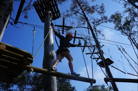 Trees Adventure Nowra Park - Tourism Search 0