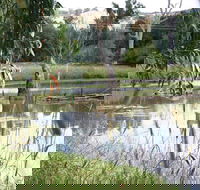 Tumut Wetlands - Tourism Search