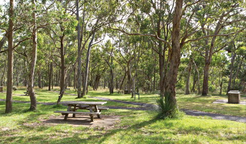 Wollomombi Gorge And Falls Picnic Area - Tourism Search 0