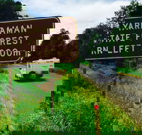 Yarraman - Tourism Search