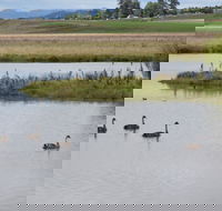 Beardy Waters Dam and Woodlands - Tourism Search