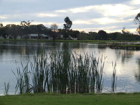 Luke Park And Jerilderie Lake - Tourism Search 2
