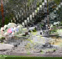 Maroochy Regional Bushland Botanic Garden - Tourism Search