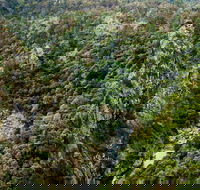 Tiara Walking Track - Tourism Search