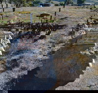 Wangaraleednie Monument  Ruins - Tourism Search