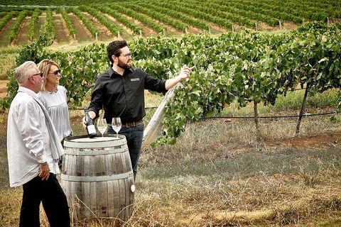 VIP Soil-To-Cellar Experience - Tourism Search 0