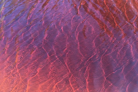 Behind The Bay - Explore Like A Local - Tourism Search 4