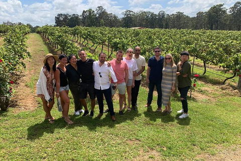 Hunter Valley Exclusive Kangaroo And Wine Tasting Experience - Tourism Search 6