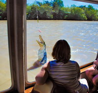 Jumping Crocs  Nature Adventure Cruise from Darwin - Tourism Search