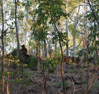 World War II Beyond Darwin - Tourism Search