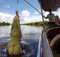 Pathfinder Jumping Crocodile Cruise Shuttle Bus - Tourism Search