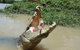 Jumping Crocodile Day Trip From Darwin - thumb 2