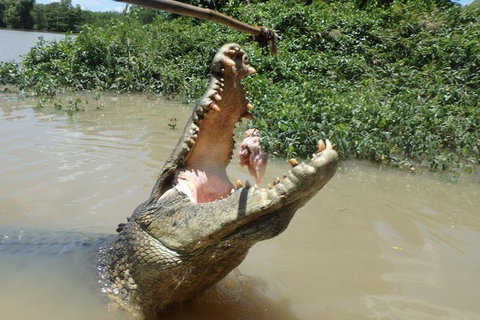 Jumping Crocodile Day Trip From Darwin - Tourism Search 2